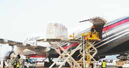 国际空运主要航空公司及其优势航线解析 国际空运主要航空公司及其优势航线解析