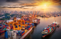 海运货物包装要求及不同品类差异指南 海运货物包装要求及不同品类差异指南