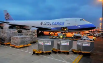 无商业价值样品空运清关全攻略｜国际物流实用指南